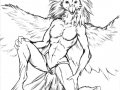 cs-CrowFem7-06.jpg